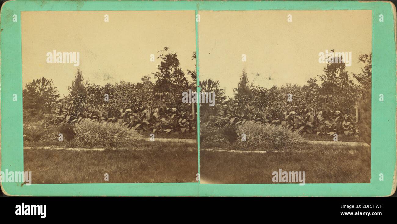 A garden, Hope, Indiana., still image, Stereographs, 1880, Schaub, J. T Stock Photo