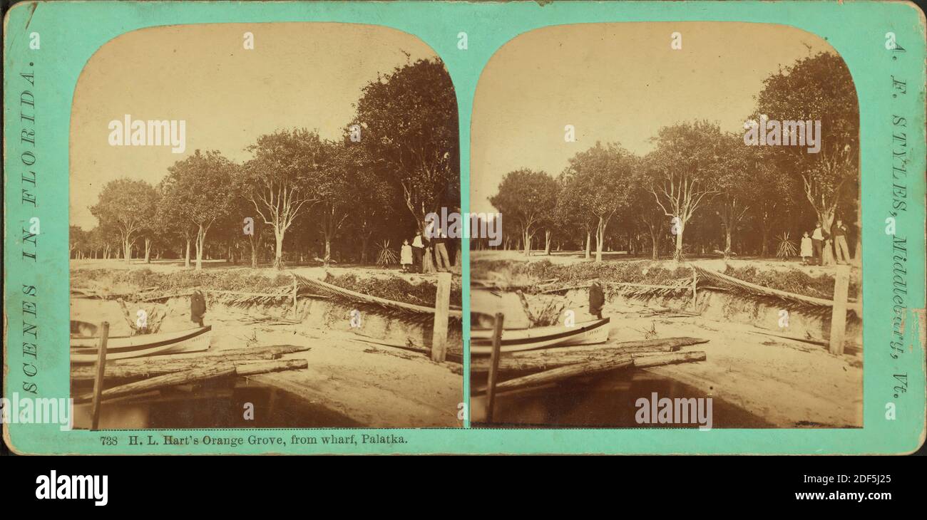 H..L. Hart's orange grove, from wharf, Palatka., still image, Stereographs, 1880, Styles, A. F. (Adin French) (1832-1910 Stock Photo