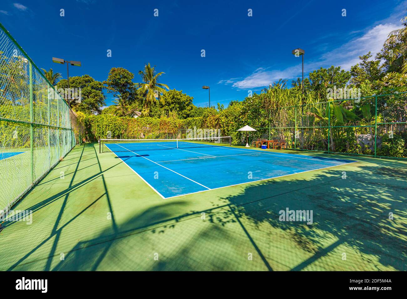 Amazing sport and recreational background as tennis court on tropical  landscape, palm trees and blue sky. Sports in tropic concept Stock Photo -  Alamy