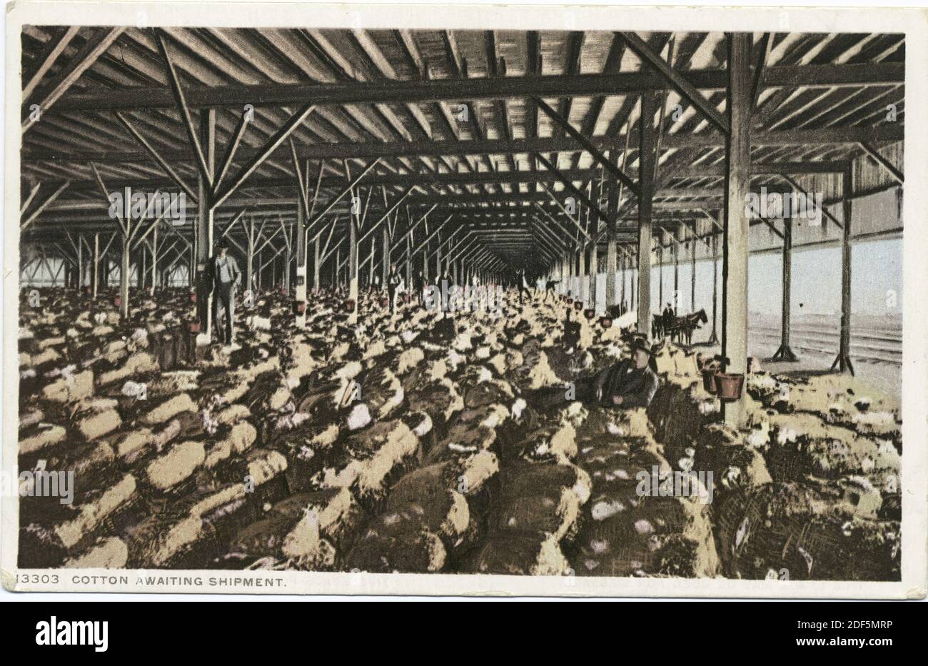 Cotton Awaiting Shipment, Galveston, Texas, still image, Postcards
