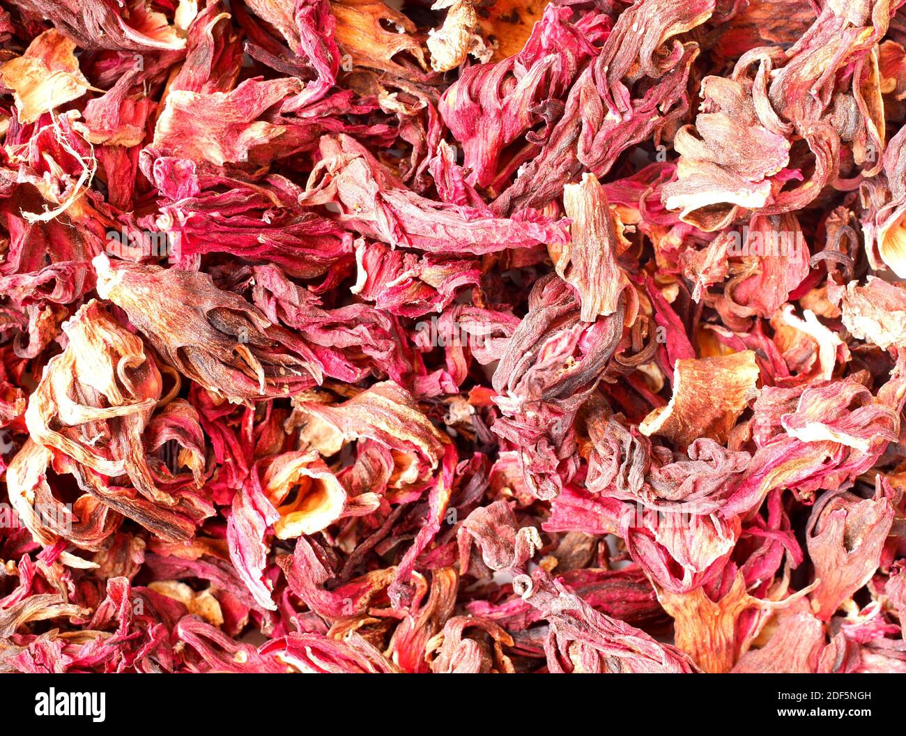 Dried hibiscus  calyces, used medicinally and for cooking and making tea Stock Photo