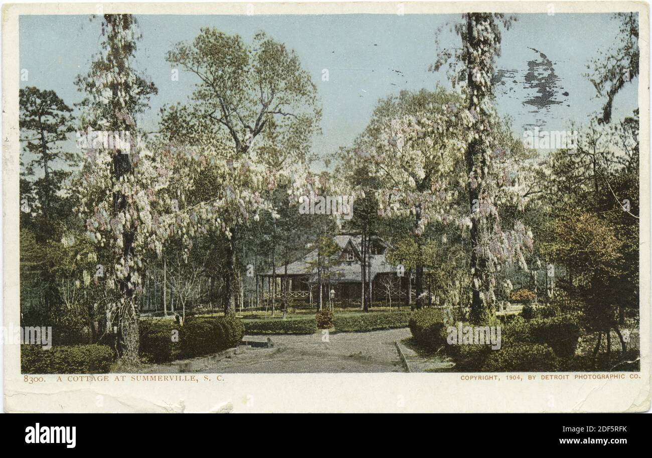 A Cottage, Summerville, S. C., still image, Postcards, 1898 - 1931 Stock Photo