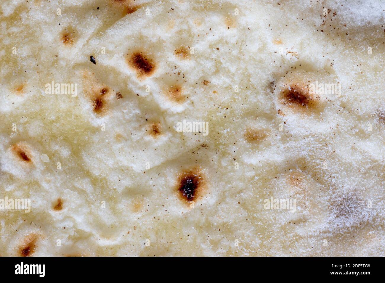 Fresh homemade flour tortilla macro Stock Photo