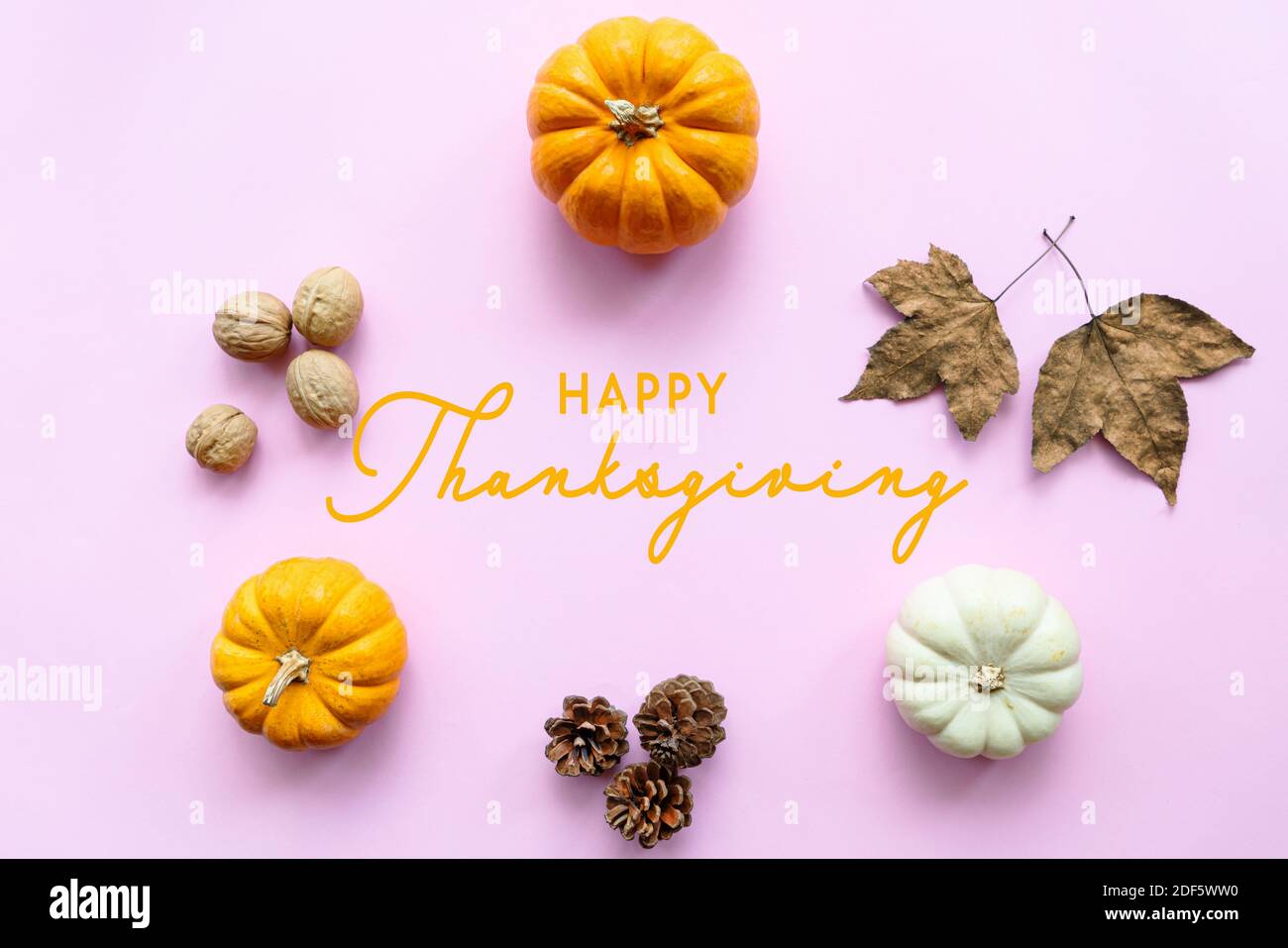 Happy Thanksgiving Day with pumpkin and maple leaf Stock Photo - Alamy