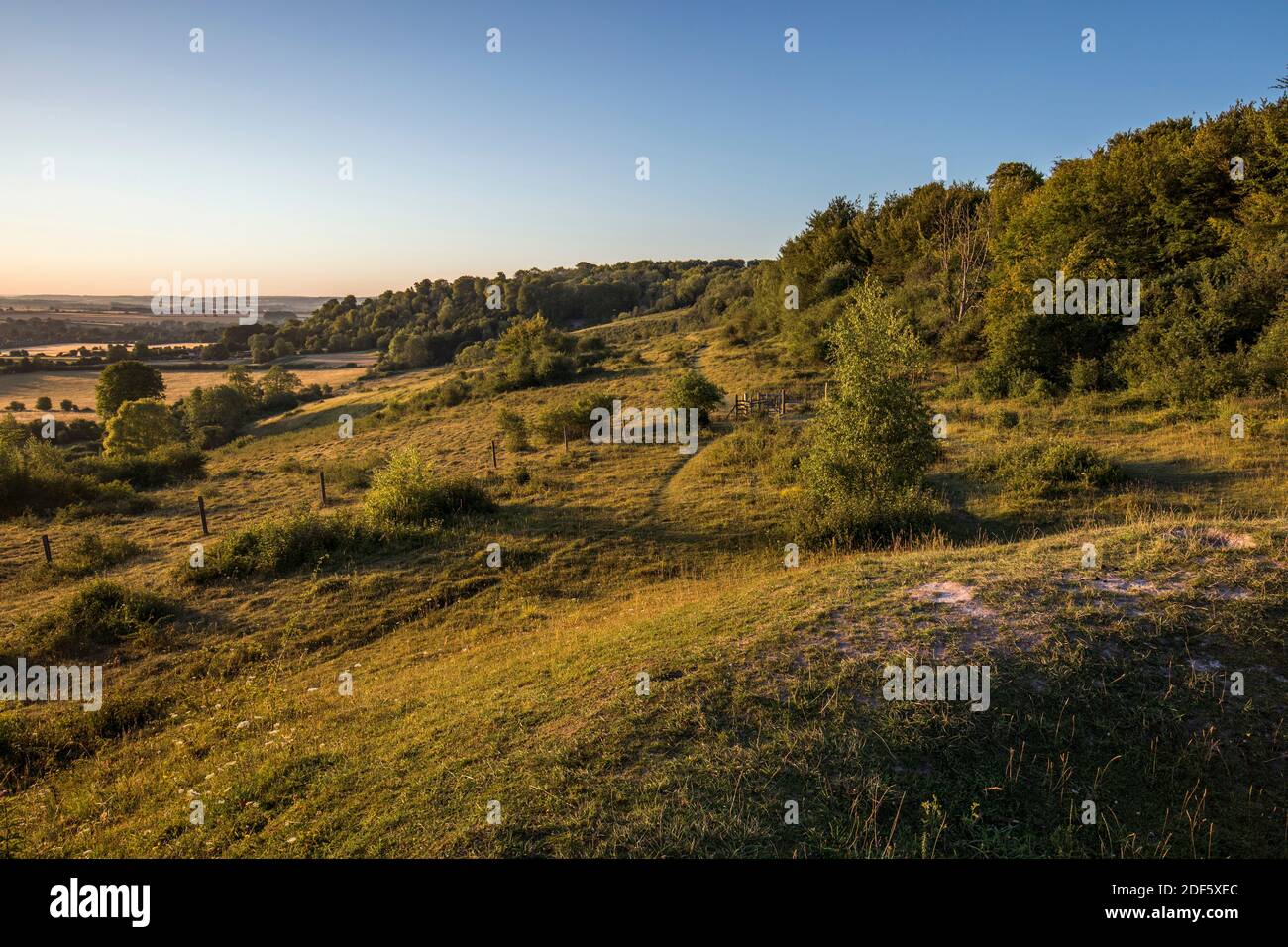 Broughton Down; Hampshire; UK Stock Photo Alamy