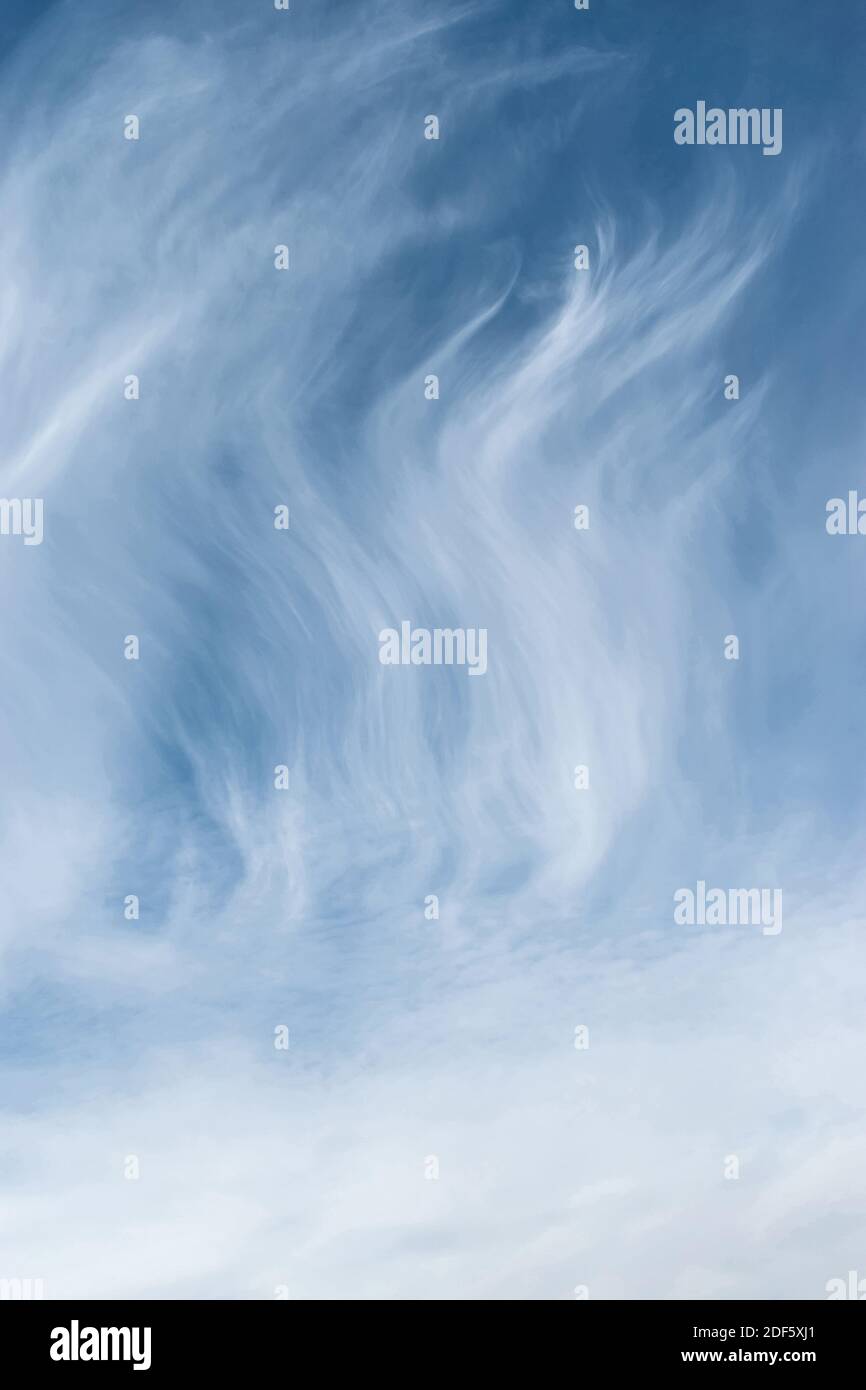 White feathery fluffy clouds on a blue sky, background and texture ...