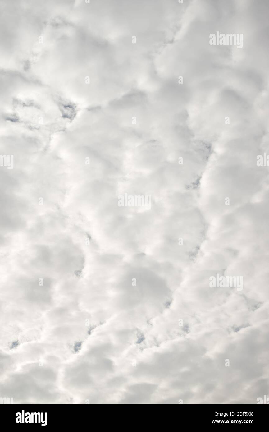 White fluffy clouds in the sky, background and texture Stock Photo