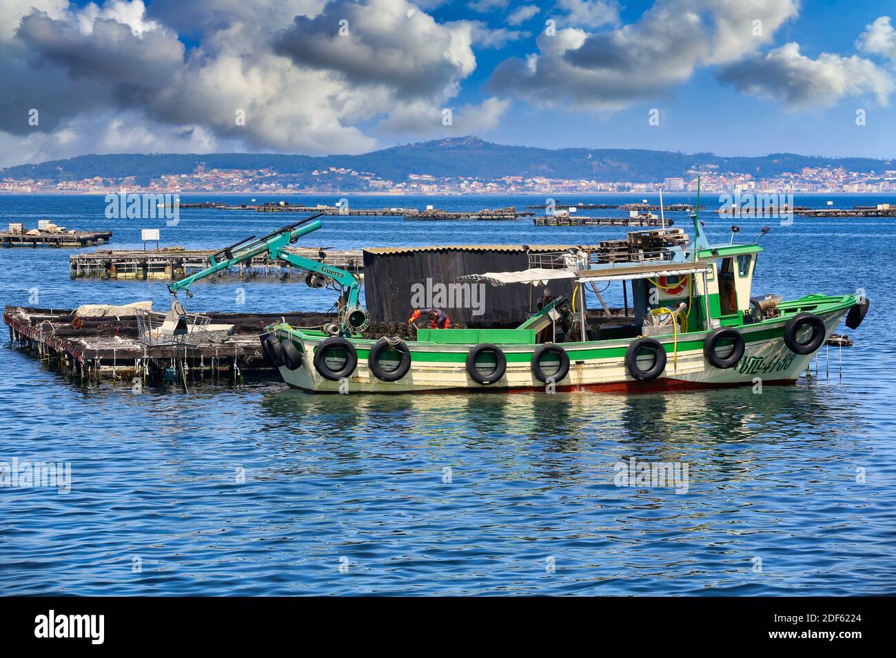 Cultivation of mussels, semi-submerged platform (Batea) marine cultivation, O'Grove, Ria de Arousa, Pontevedra province, Galicia, Spain Stock Photo
