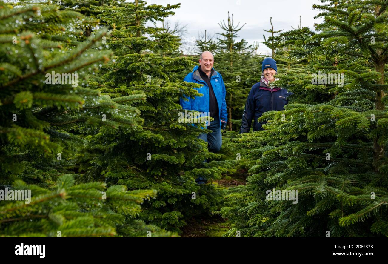 East Lothian, Scotland, United Kingdom, 3rd December 2020. Beanston