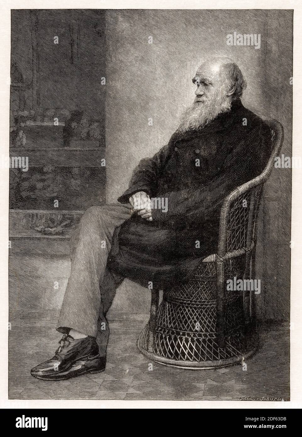 English naturalist, Charles Darwin (1809-1882), portrait engraving by Thomas Johnson, before 1901 Stock Photo