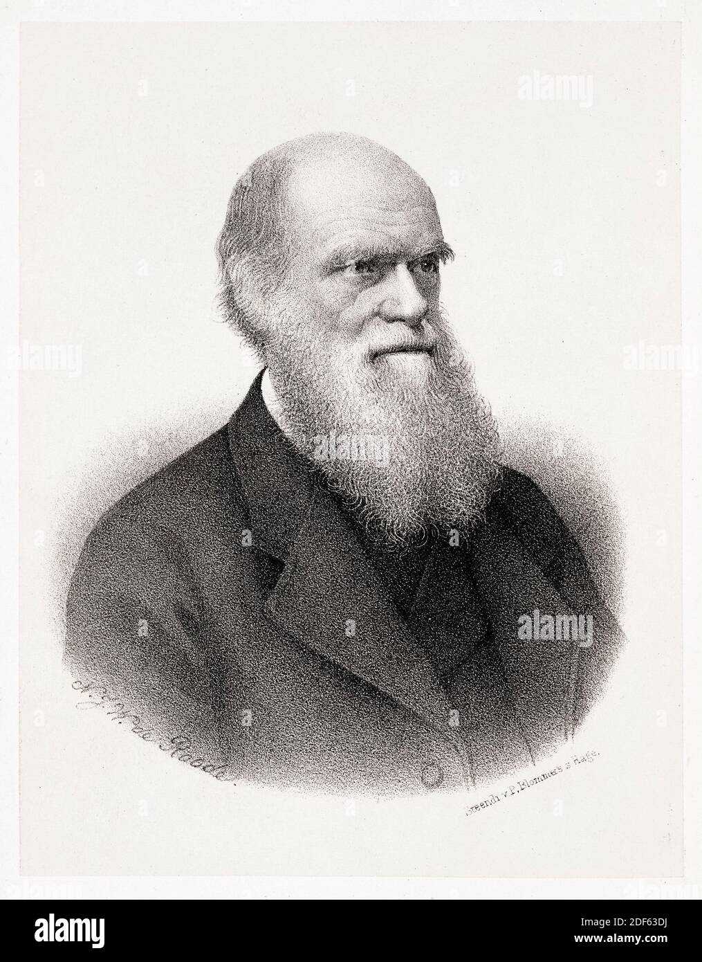 English naturalist, Charles Darwin (1809-1882), portrait engraving by HJW de Roode, 1876 Stock Photo