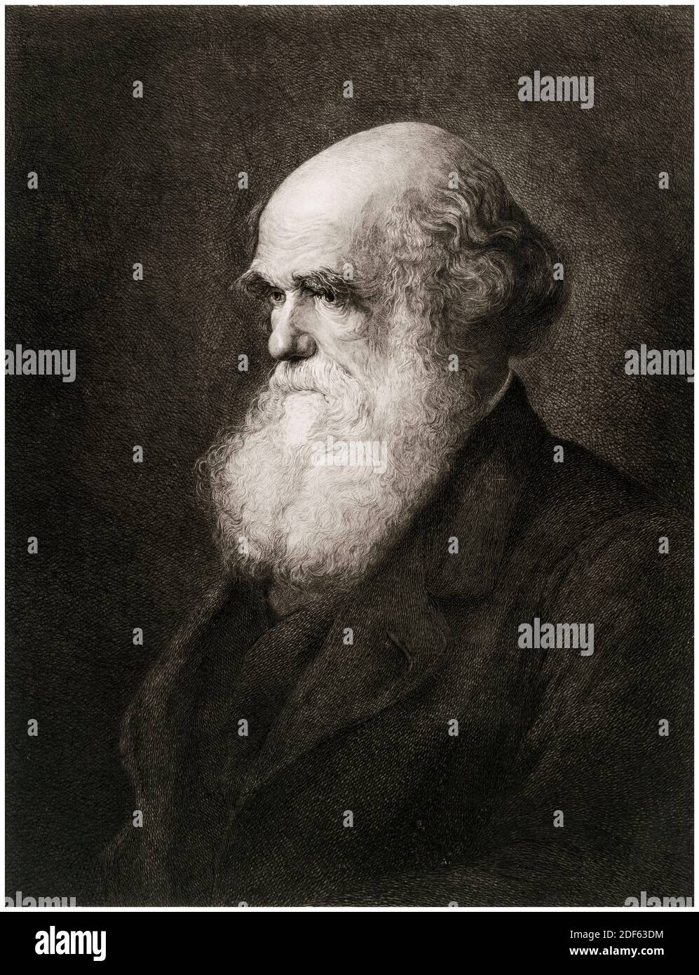 Charles Darwin (1809-1882), English naturalist, geologist and biologist, portrait engraving by G Mercier after WW Ouless, circa 1890 Stock Photo