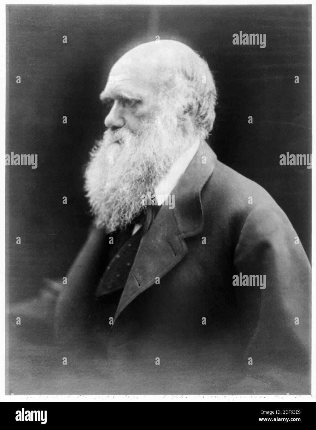 Charles Darwin (1809-1882), English naturalist, geologist and biologist, portrait photograph by Julia Margaret Cameron, circa 1870 Stock Photo