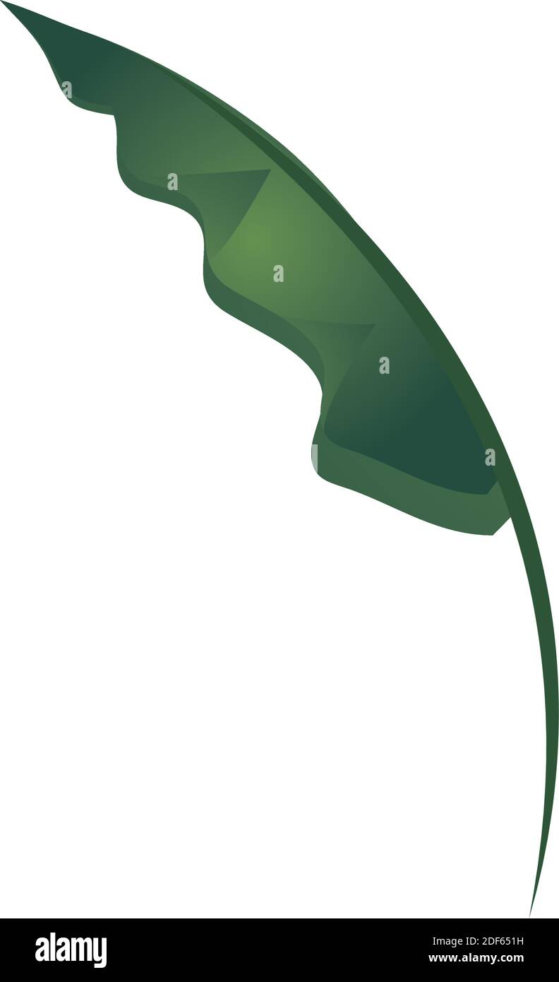 leaf natural plant foliage icon over white background vector ...