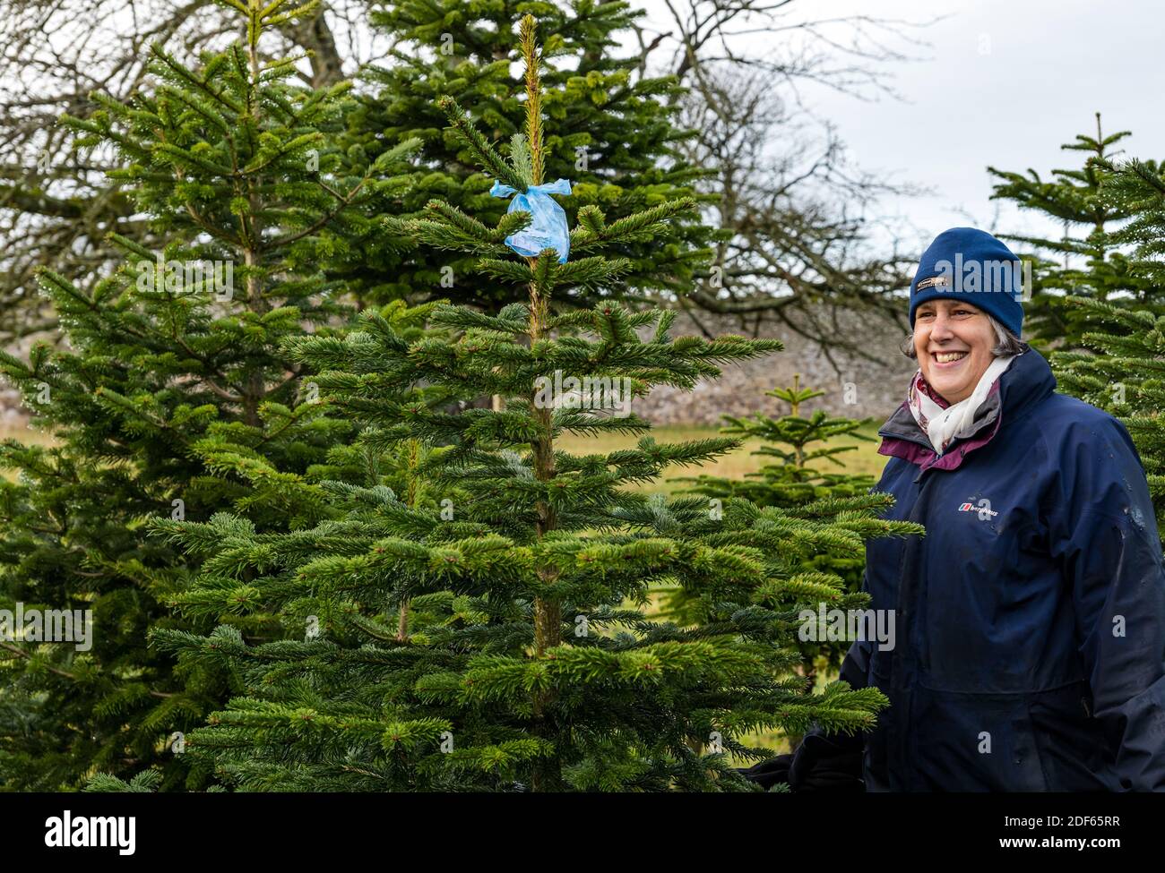 East Lothian, Scotland, United Kingdom, 3rd December 2020. Beanston