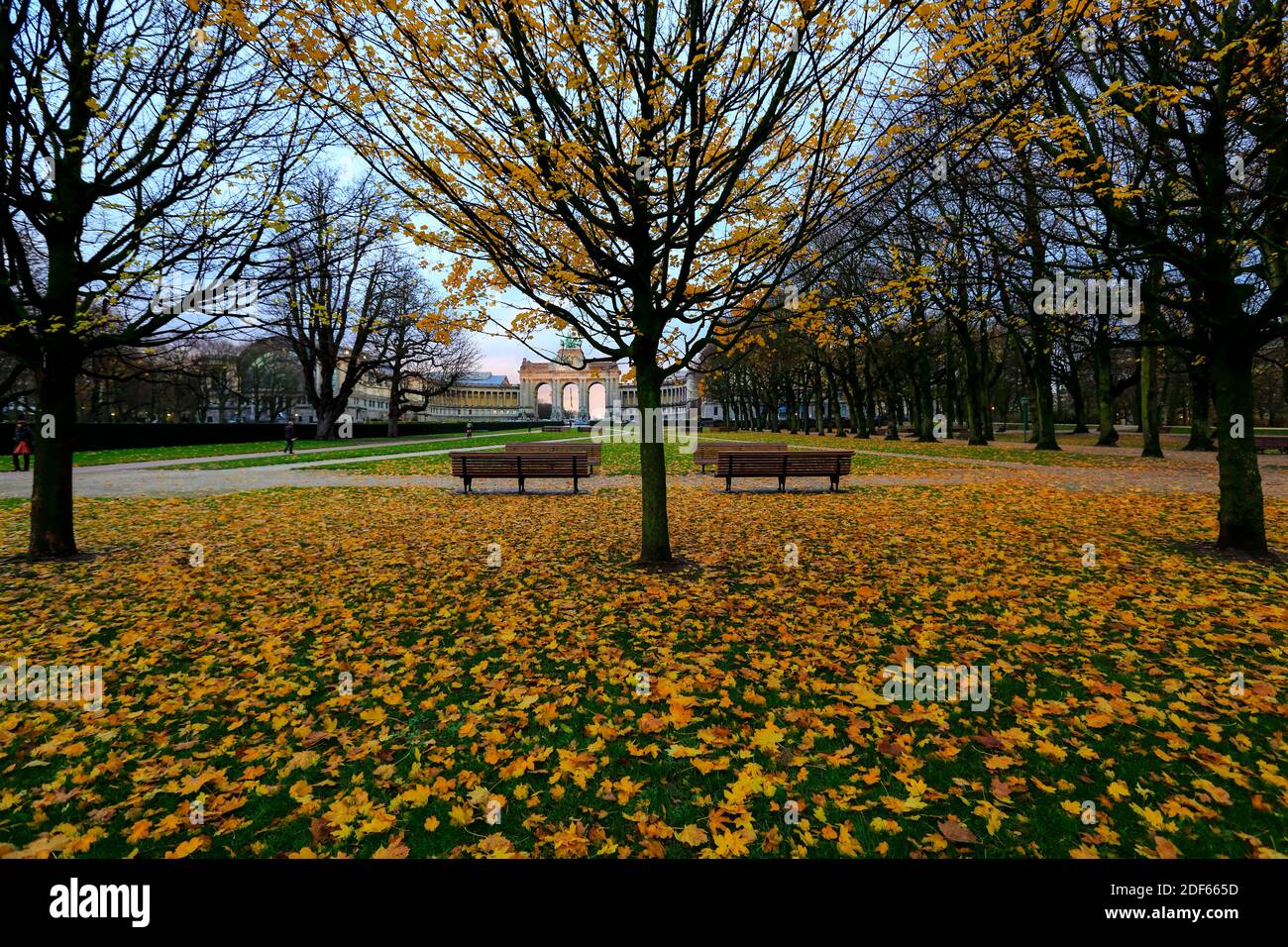 Parc du Cinquantenaire, Jubelpark in autumn, Brussels, Belgium. Stock Photo