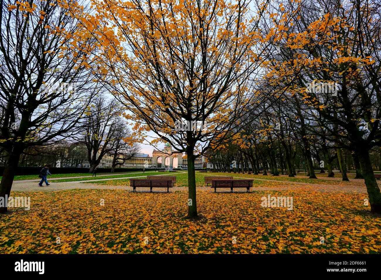 Parc du Cinquantenaire, Jubelpark in autumn, Brussels, Belgium. Stock Photo