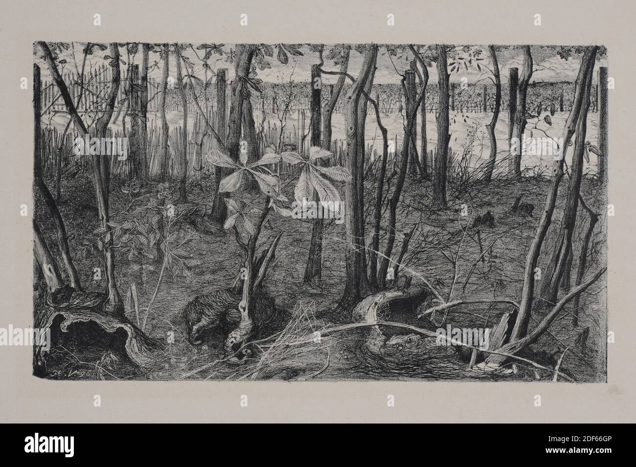 Lithograph Floris Verster 1895 Signature Front Bottom Left In The Lithograph F V 95 Ink Paper Printed Image Size 18 X 30 5cm 180 X 305mm Carrier 29 4 X 44 2cm 294 X 442mm Day