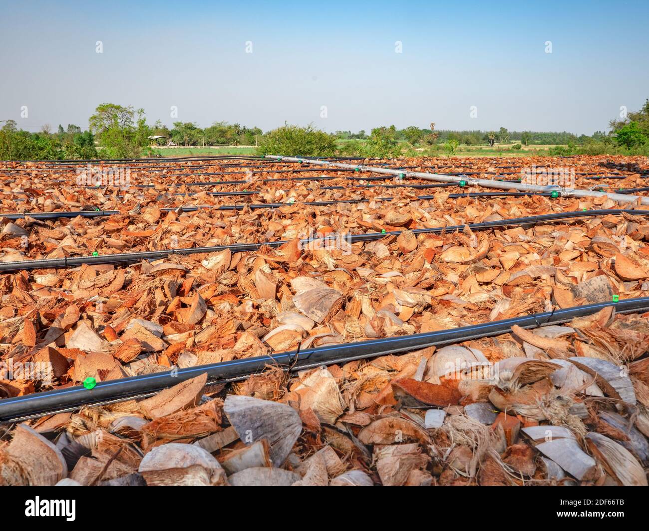 Biofilter using coconut husks to remove unpleasant odour from an animal byproduct processing plant. Stock Photo