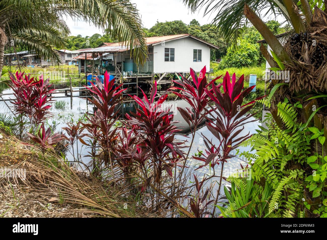 Sri Aman High Resolution Stock Photography And Images Alamy