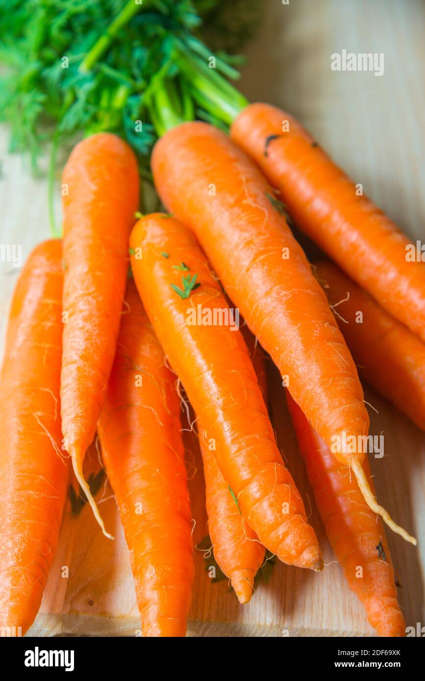 Carrots. Close view. Stock Photo