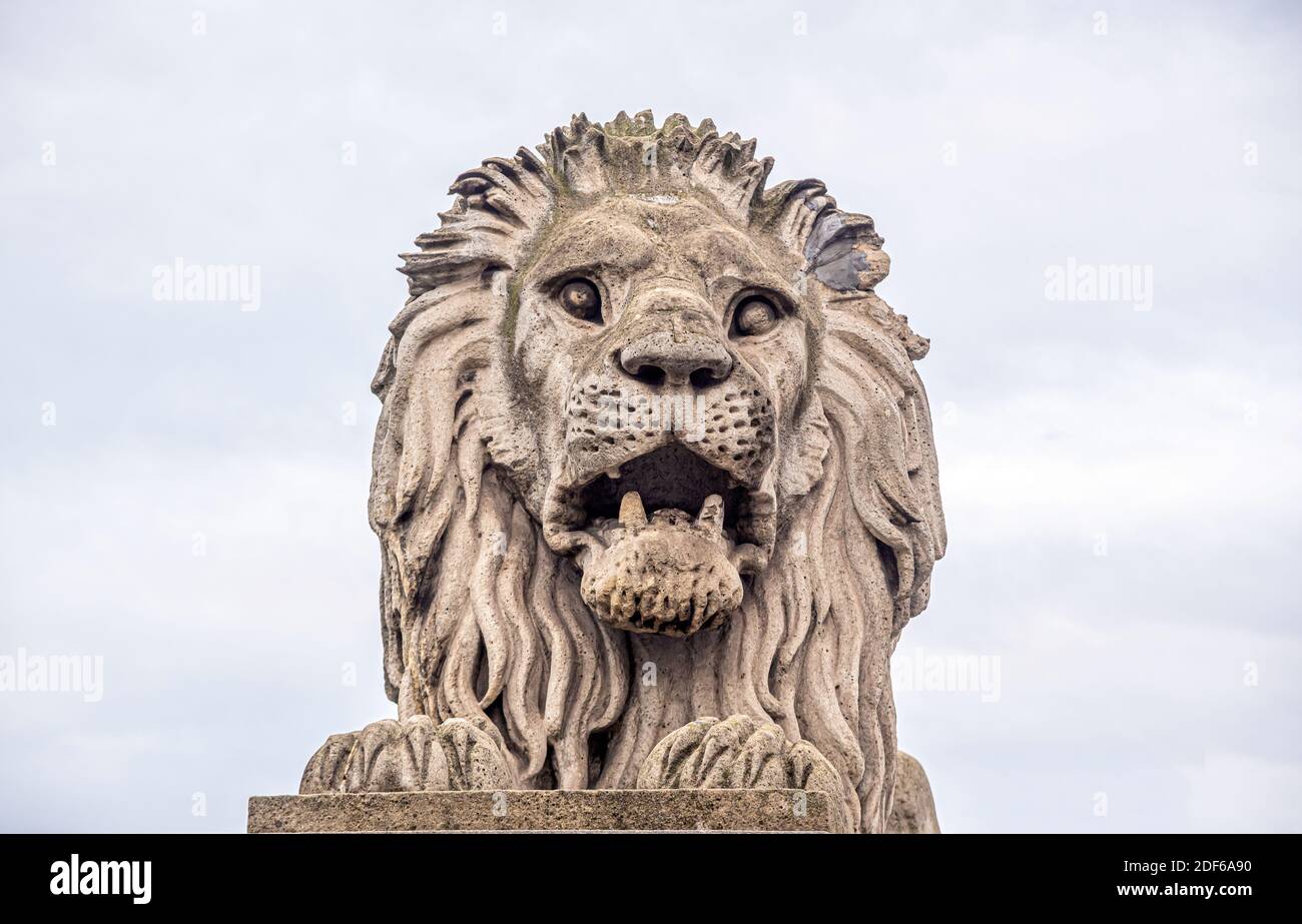 Lion statue in Budapest, Hungary. Stock Photo