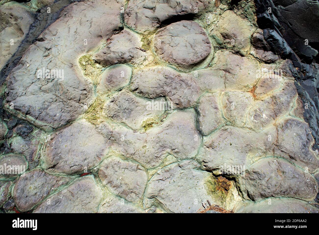 Pillow lavas are lavas formed under water in a subaqueous extrusion. This photo was taken in El Barranco de las Angustias, Caldera de Taburiente Stock Photo