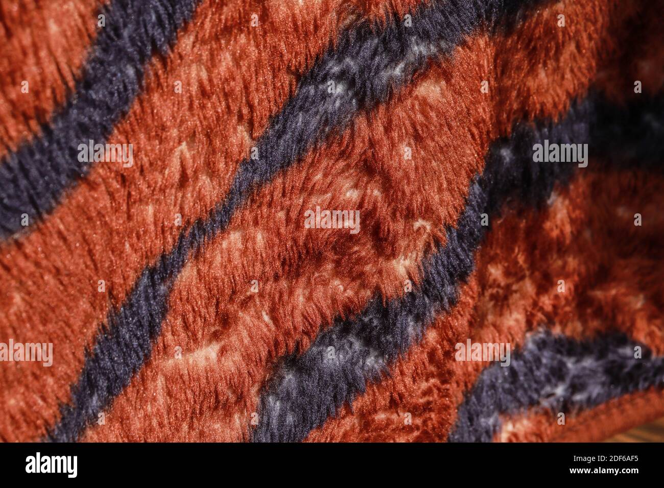 Tiger blanket texture, sparkles in the sun, hair Stock Photo