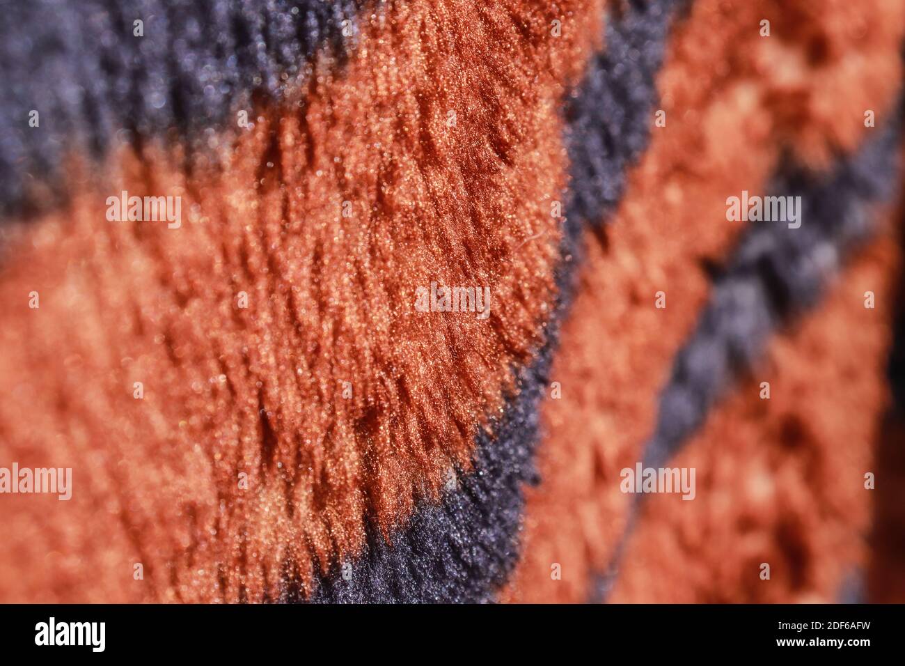 Tiger blanket texture, sparkles in the sun, hair Stock Photo