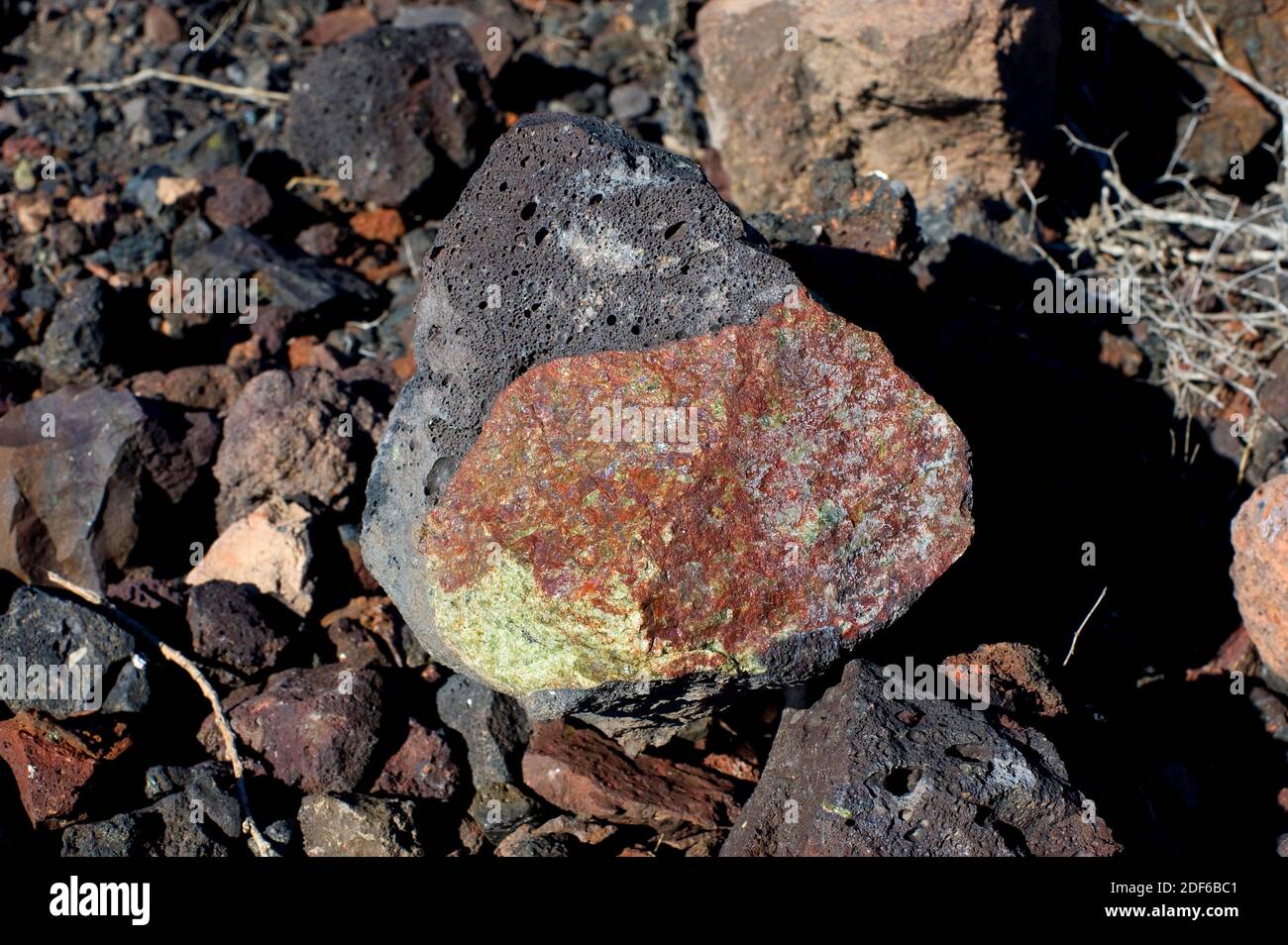 Olivine nodule on basaltic rocks. Olivine is a mineral composed of