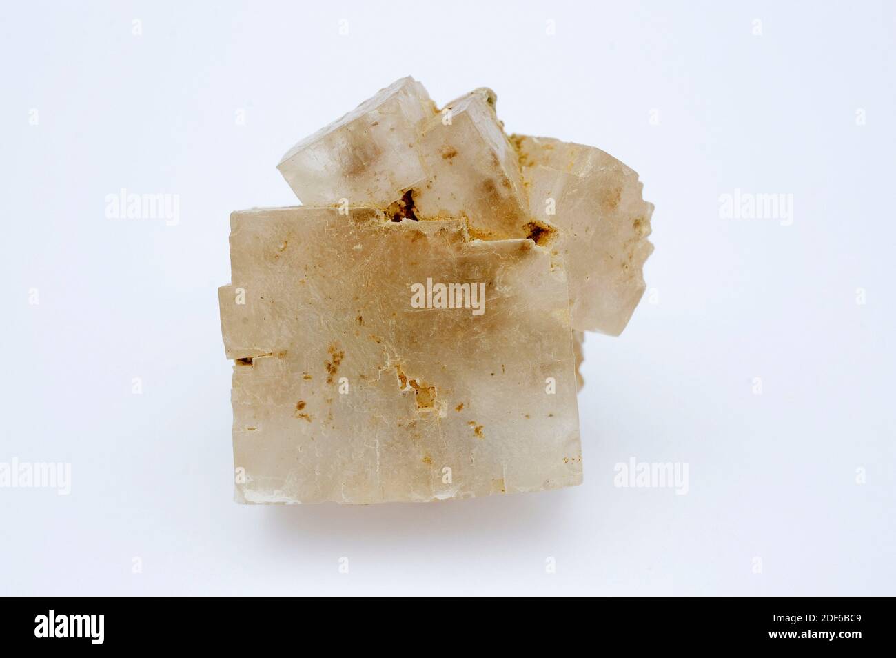 Cubic crystals of halite or rock salt. Halite is an evaporite mineral