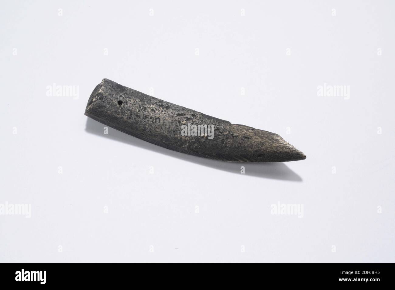 Jan Schonenberch, 1518, cast, General: 5.5 x 1.1 x 0.7cm 55 x 11 x 7mm, Small oblong thin fragment of the large bell of the Church of Our Lady in Leiden, which was destroyed in 1816. The fragment has a certificate on which it is written: Piece of the big clock from the Tower of the Lady Church in Leyden, which was broken up in the year 1816 by workers from the artillery foundry in Amsterdam. Written by G.W. Hartman Drabbe, 1958 Stock Photo
