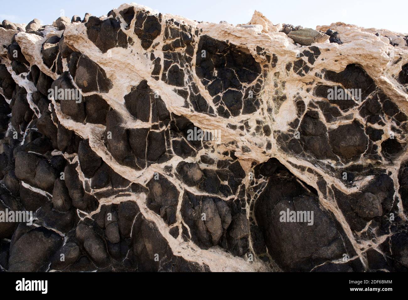 Andesite and ignimbrite rocks. Andesite (black) is a volcanic or extrusive rock with aphanitic or porphyritic texture. Is an intermediate rock Stock Photo