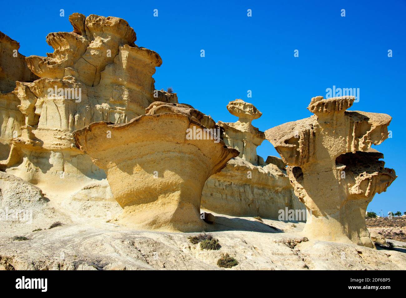 Mushroom rock or pedestal rock. Mushroom rocks are deformed for erosion or weathering. Usually found in desert or arid areas. This photo was taken in Stock Photo