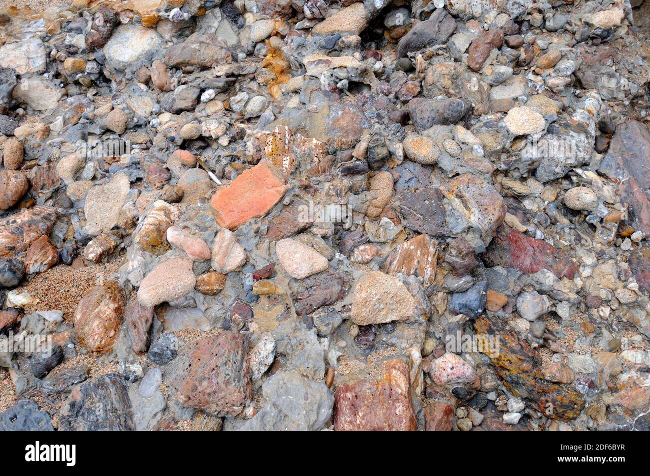 Conglomerate is a clastic sedimentary rock composed of rounded clasts (pudding stone). This sample comes from Pals, Girona, Catalonia, Spain. Stock Photo