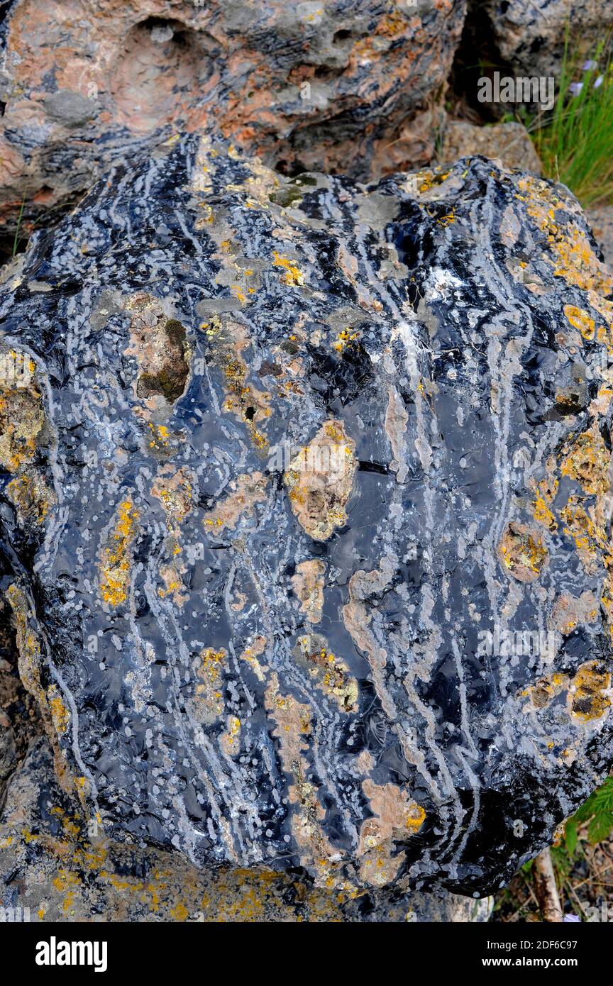 Obsidian is a volcanic glass rock. Yellowstone National Park, Wyoming