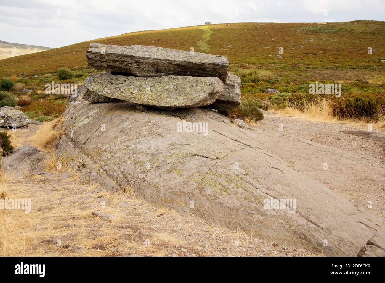 Glacial landform, sheepback with striations. Sanabria, Zamora, Castilla y Leon, Spain. Stock Photo