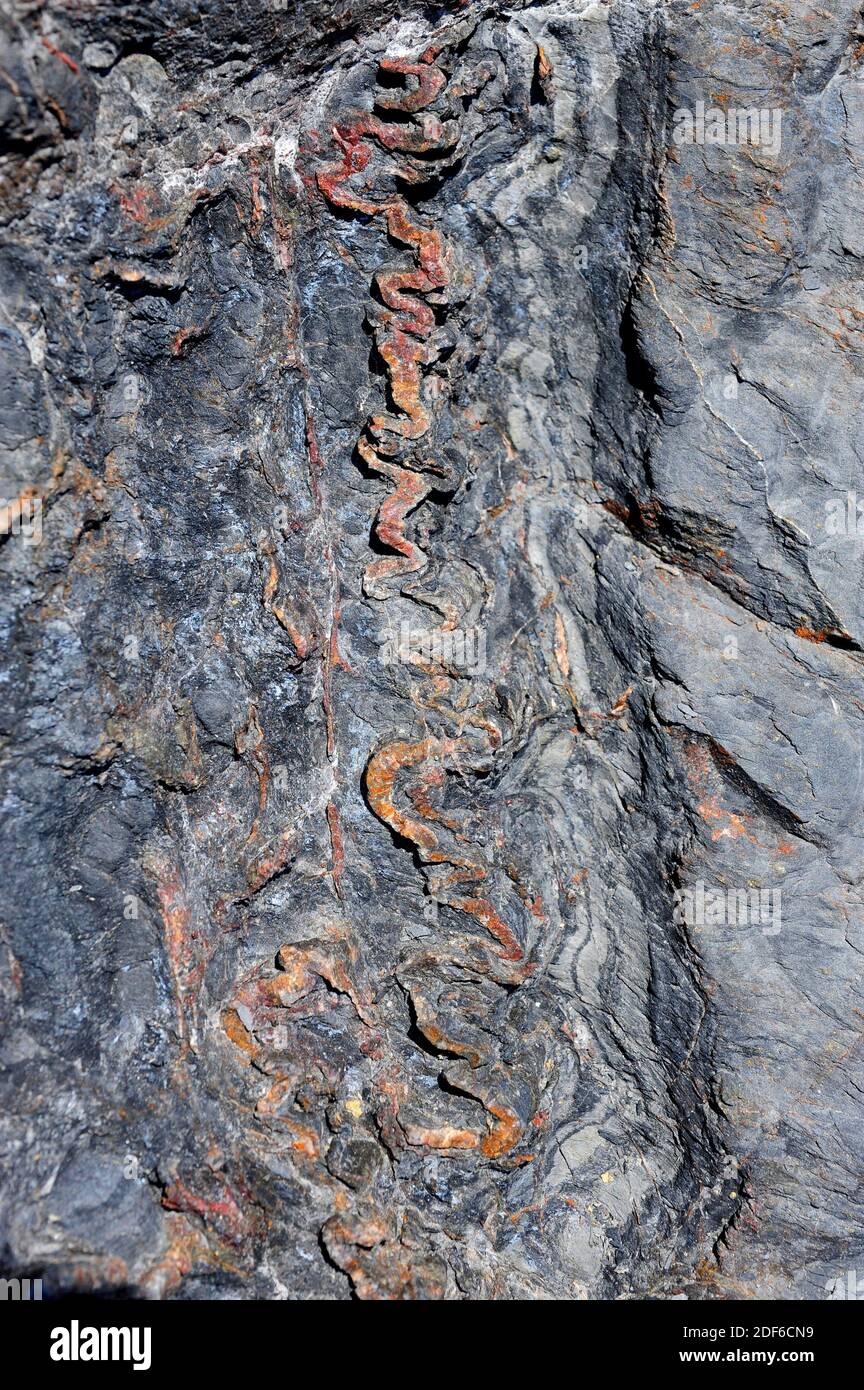 Micro folds in schists with quartz veins. Cabo Creus, Girona, Catalonia, Spain. Stock Photo
