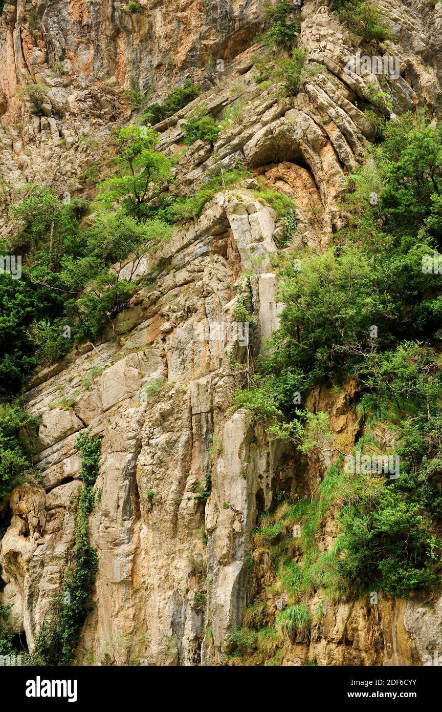 Anticlinal fold in Collegats, Lleida, Catalonia, Spain. Stock Photo