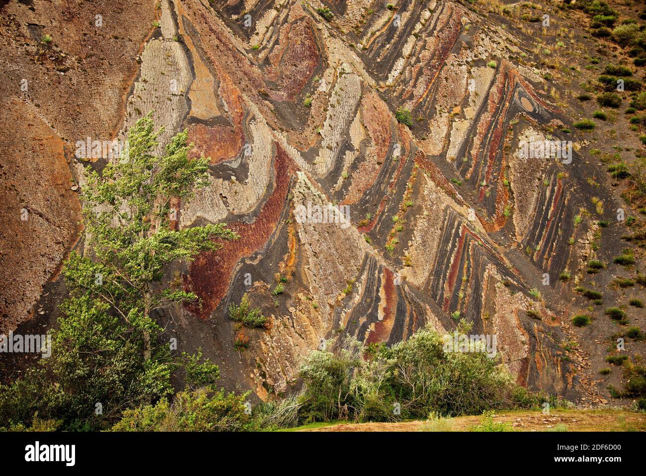 Colorful vertical strata composed of red sandstone and black lutites rich in organic matter.This geological formation known as Ribero Pintado is Stock Photo