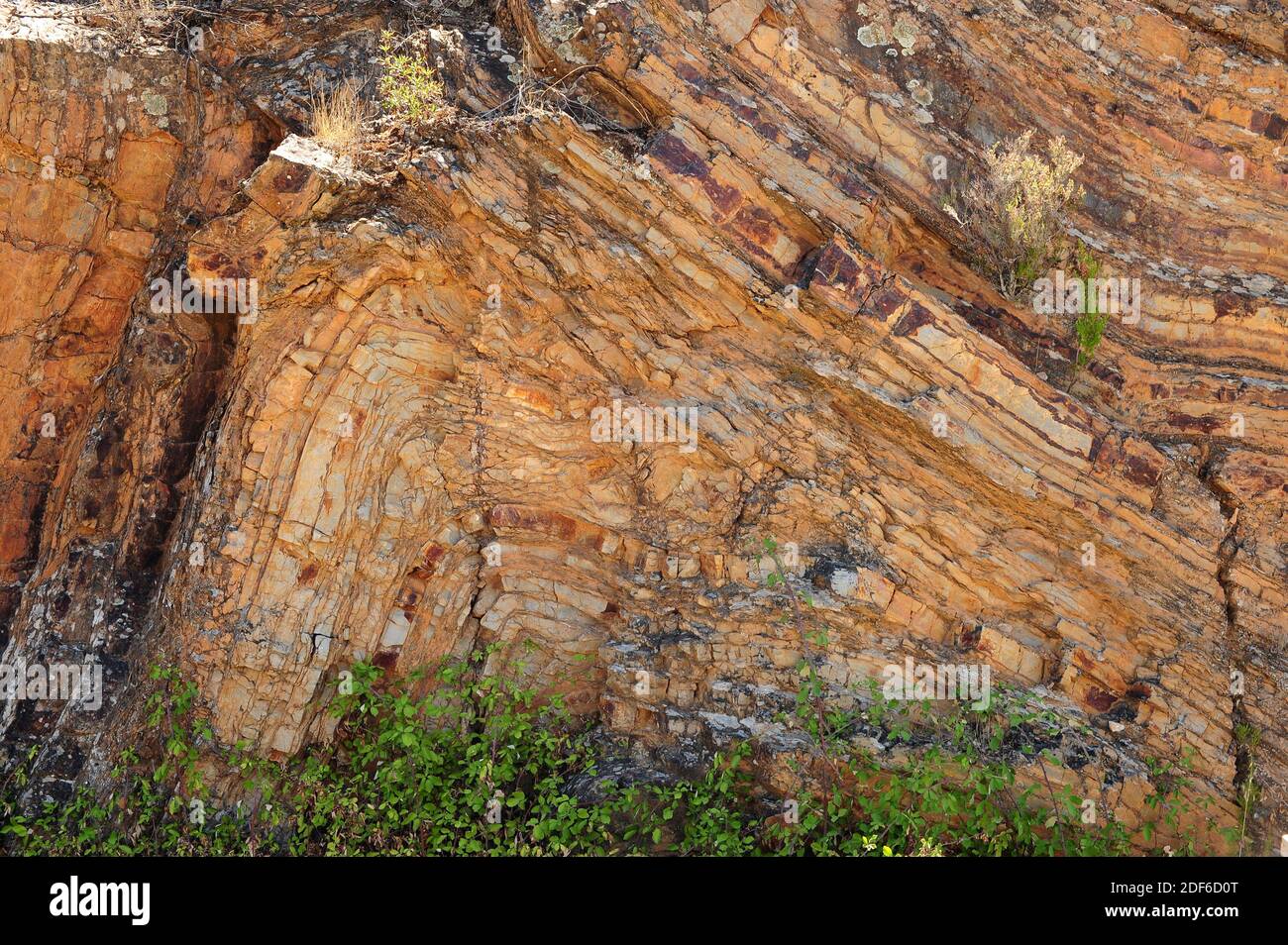 Anticlinal fold in Monfrague National Park, Caceres, Extremadura, Spain. Stock Photo