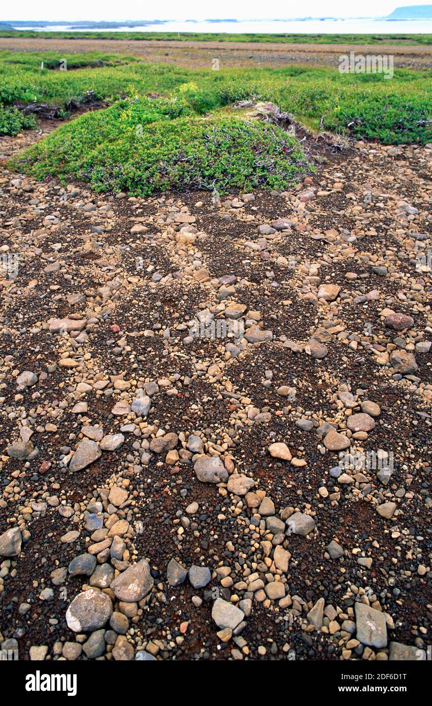 Patterned ground or polygonal ground is a natural pattern of geometric