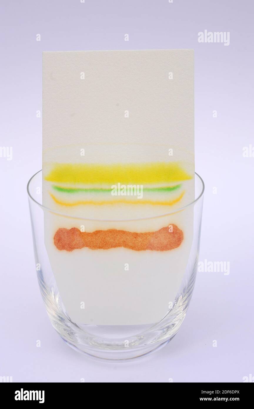 Paper chromatography of vegetable pigments. Stock Photo