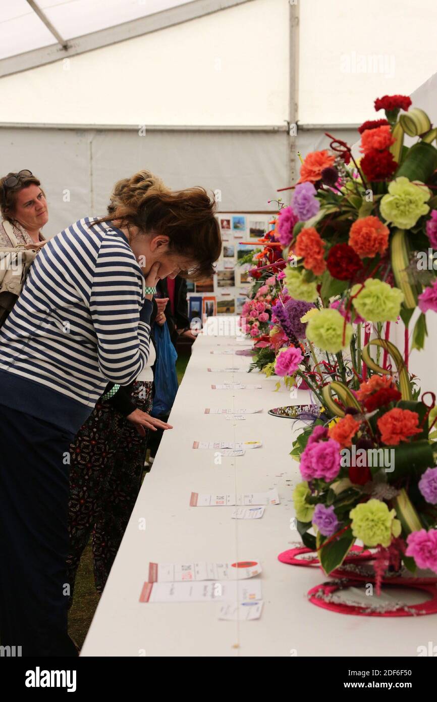 Ayr Flower Show, Ayrshire, Scotland. A woman reads the notes on the