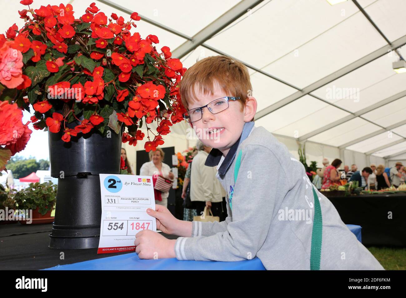 Ayr Flower show 2015, Ayrshire, Scotland, UK Stock Photo Alamy