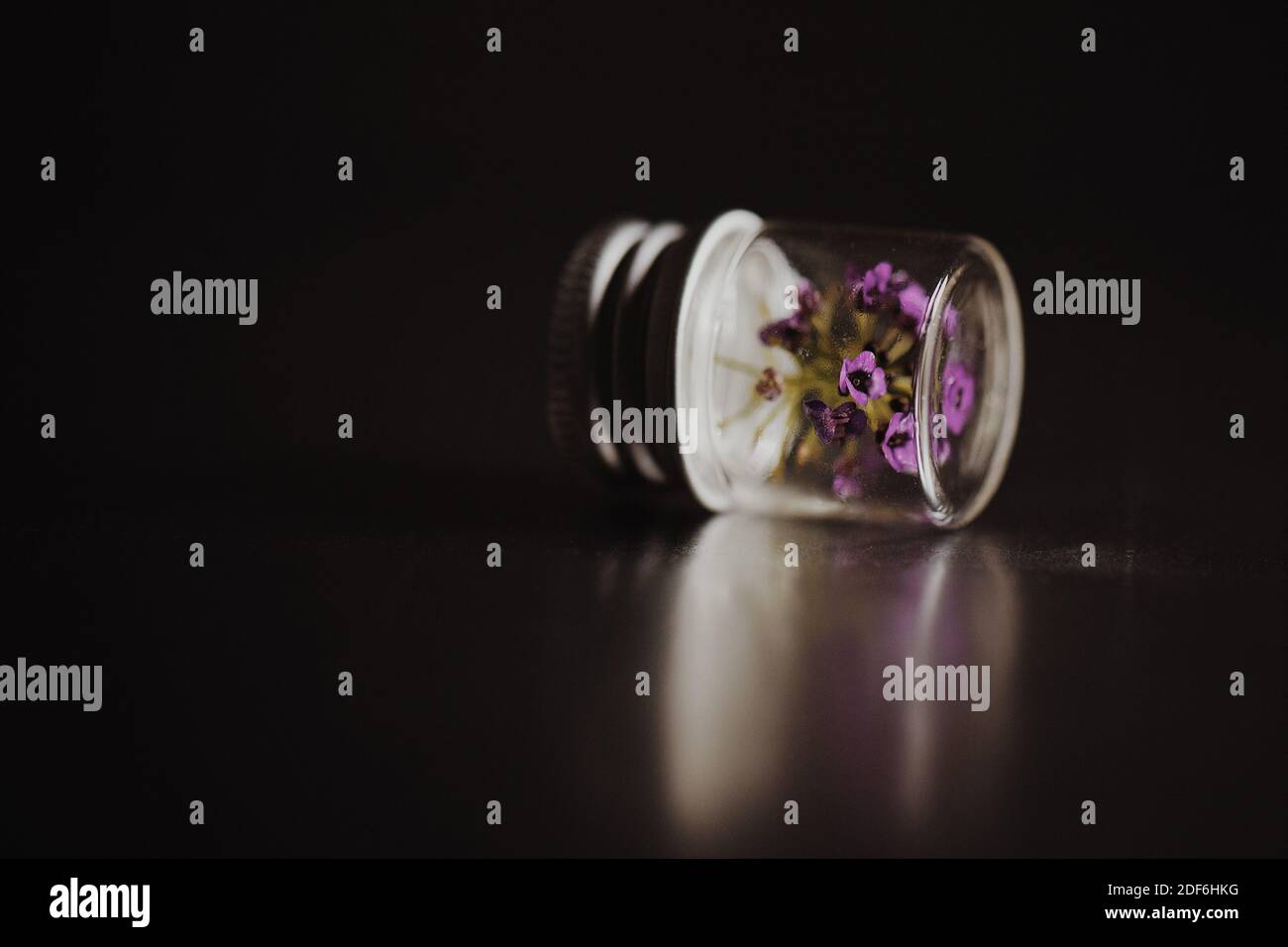 Tiny purple flowers in a small glass bottle. Stock Photo