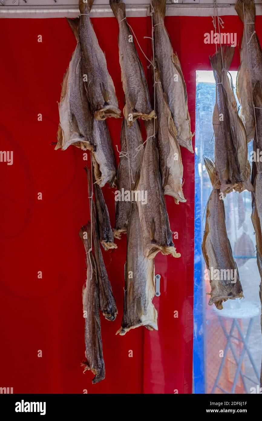 Close-up of dried whiting (or merling) fish on a fish market Stock Photo