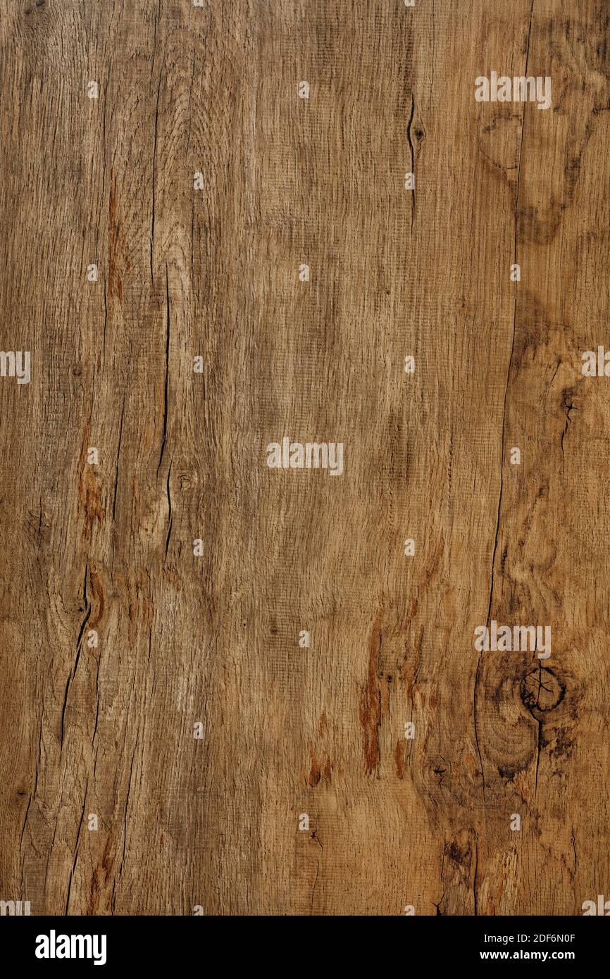 Beautiful pattern of old oak wood fibers with cracks, spots, weathered