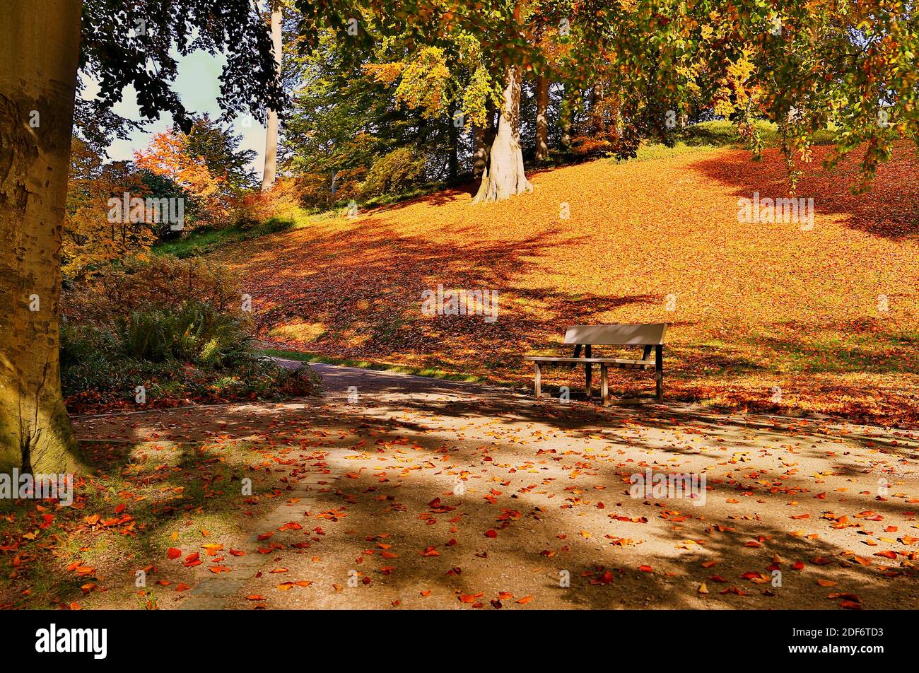 The diversity of the Malenter spa gardens is not only particularly beautiful in autumn. Here you can take a seat on one of the many benches. Stock Photo
