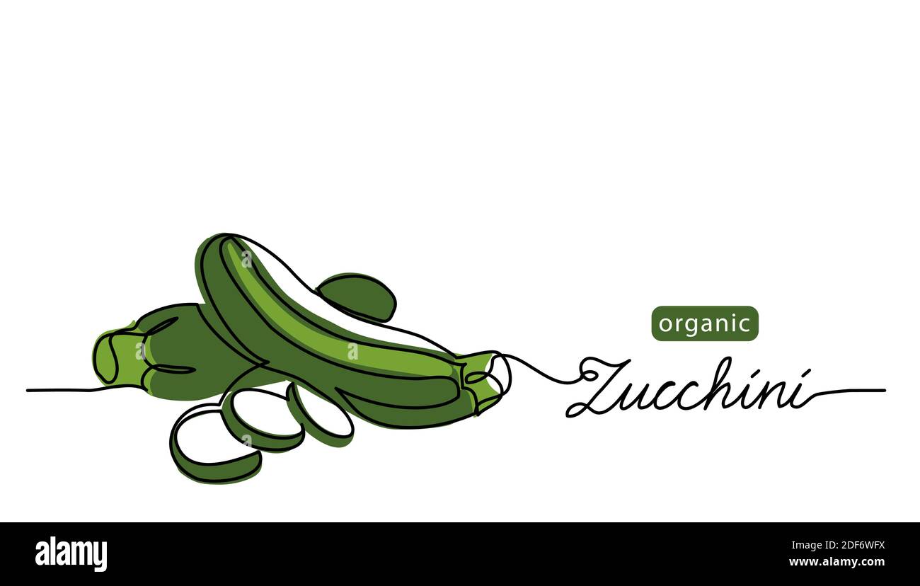 Zucchini, green marrow, courgette or squash vector illustration. One line drawing art illustration with lettering organic zucchini Stock Vector